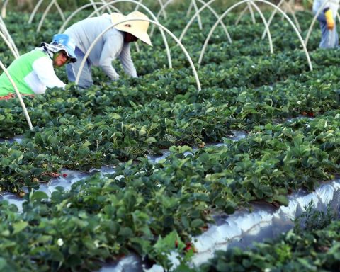 Finep announces R$74.9 million partnership for family farming