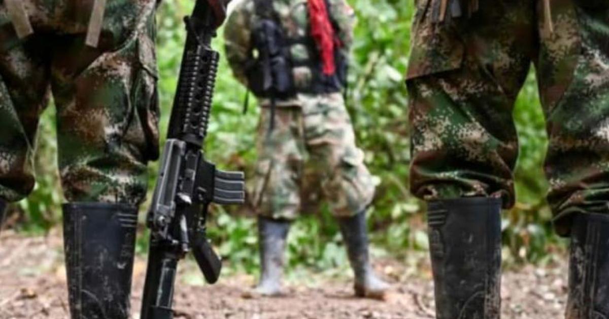 Forced displacement in Anorí: pressure from the Gulf Clan forces families to flee