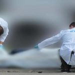 Four-year-old girl died in the Valley after an accident with a horse in a country restaurant