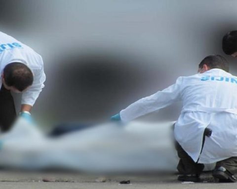 Four-year-old girl died in the Valley after an accident with a horse in a country restaurant