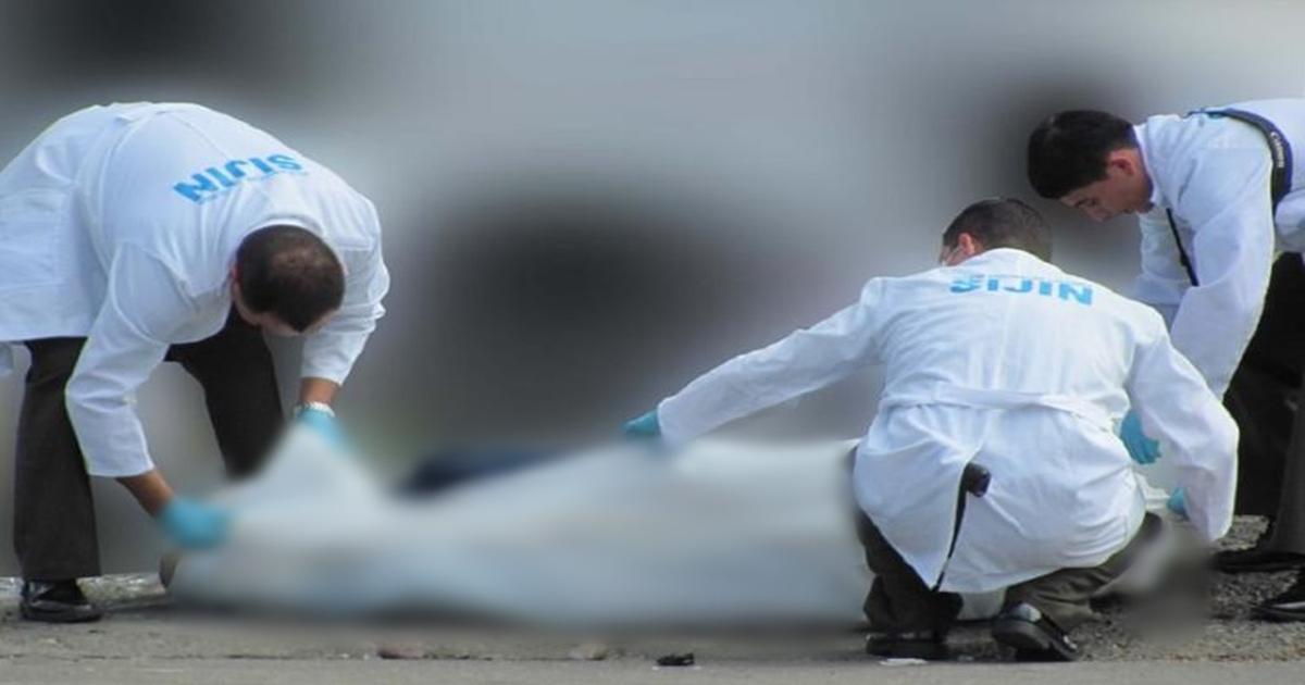 Four-year-old girl died in the Valley after an accident with a horse in a country restaurant