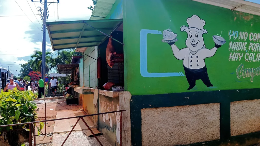 La-carne-de-cerdo-es-la-proteína-más-demandada-por-los-cubanos_-pero-sus-precios-lres-resultan-prohi