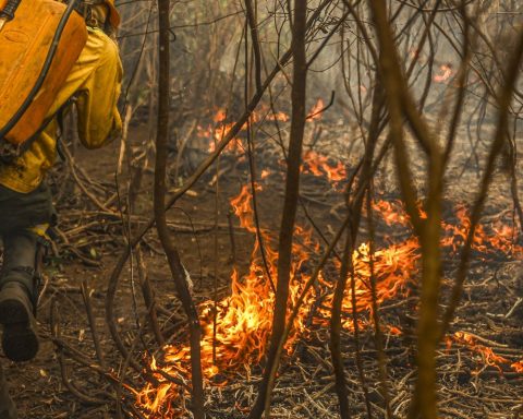 Government launches unprecedented panel to track environmental spending