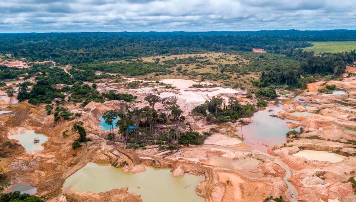 Government promulgated law that extends the validity of the Reinfo until December 2026