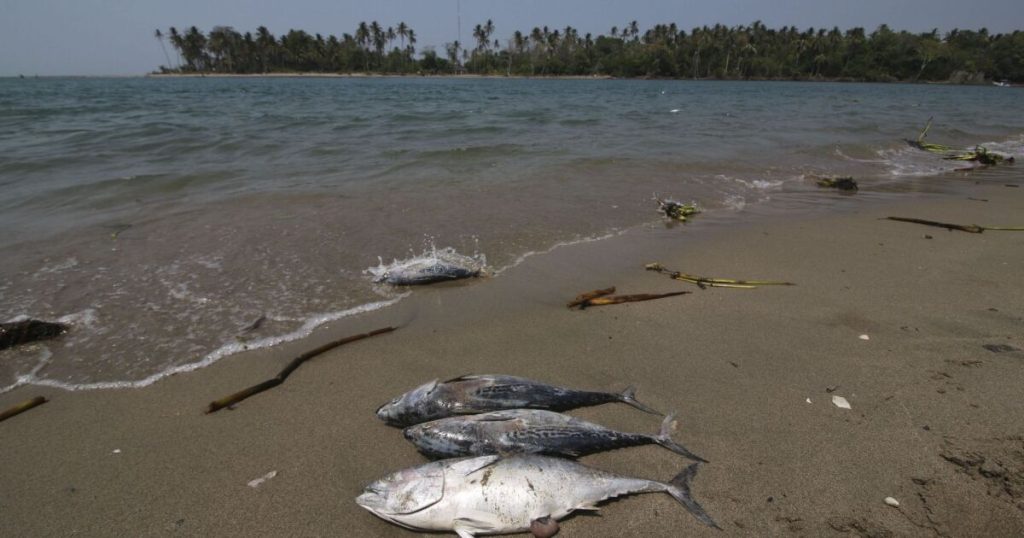 Gulf communities demand meeting with Sheinbaum to address oil damage