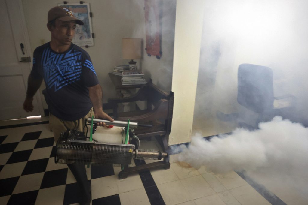 Health authorities foresee a positive evolution of the chikungunya and dengue epidemic