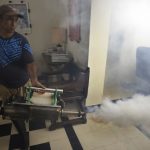 Health authorities foresee a positive evolution of the chikungunya and dengue epidemic