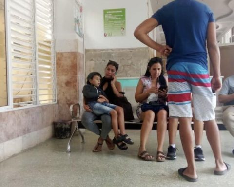 Health authorities raise the number of deaths from dengue and chikungunya in Cuba to 47