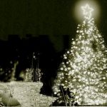 árbol, Navidad, Cuba