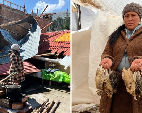 Huancayo: Collapsed roofs and dead animals leave unusual winds