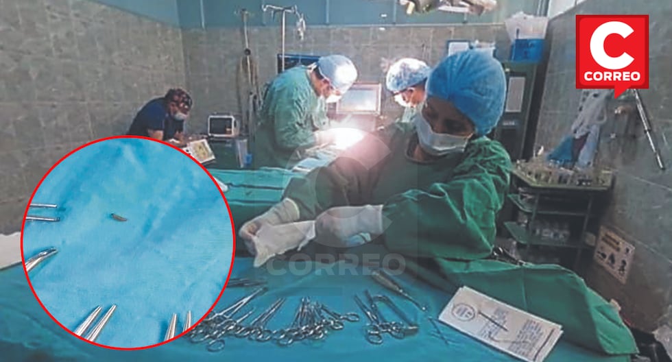 Huancayo: Doctors report that fly larvae fall from the ceiling during surgery