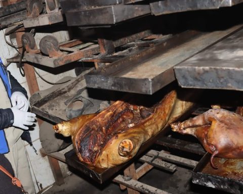 Huancayo: baking establishment closed due to serious unhealthiness and lack of license