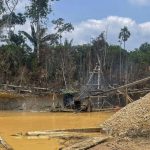 IPSOS: 94% of Peruvians link corruption with illicit economies