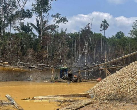 IPSOS: 94% of Peruvians link corruption with illicit economies