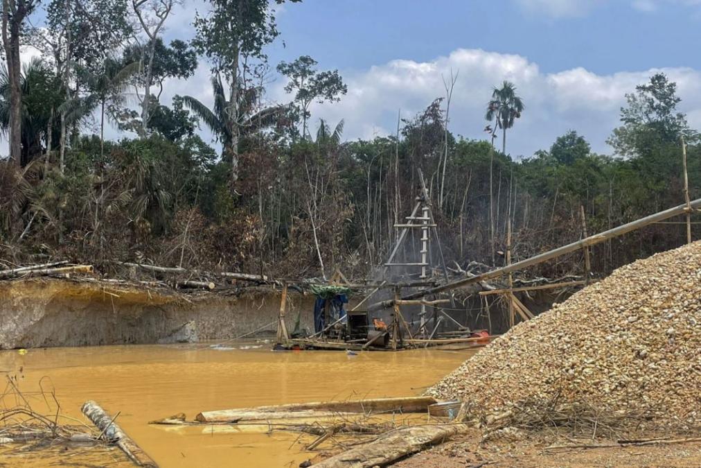 IPSOS: 94% of Peruvians link corruption with illicit economies