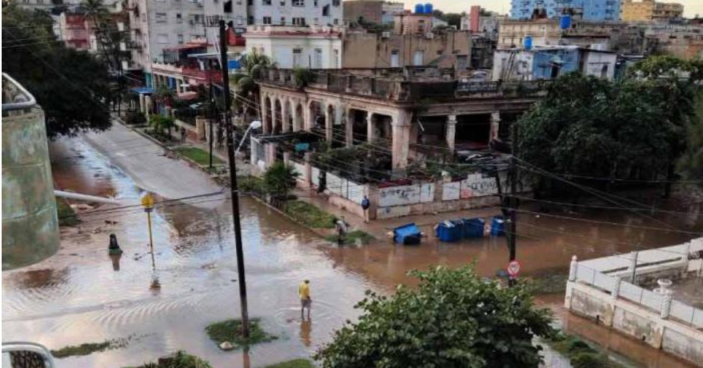 “If they don't pick up the garbage quickly, the next epidemic will be plague.”