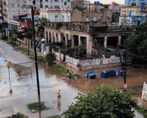 “If they don't pick up the garbage quickly, the next epidemic will be plague.”