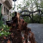 In Embu-Guaçu, SP, blackout leaves 61% of residents without electricity