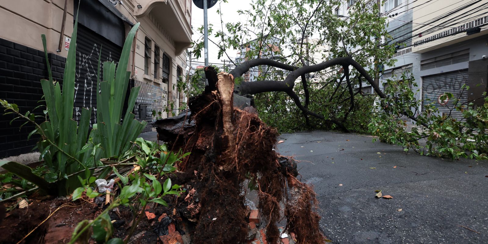 In Embu-Guaçu, SP, blackout leaves 61% of residents without electricity