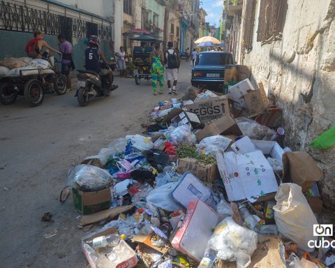 In the midst of a health crisis, the Government begins a study to find out how much garbage “is really generated” in Havana