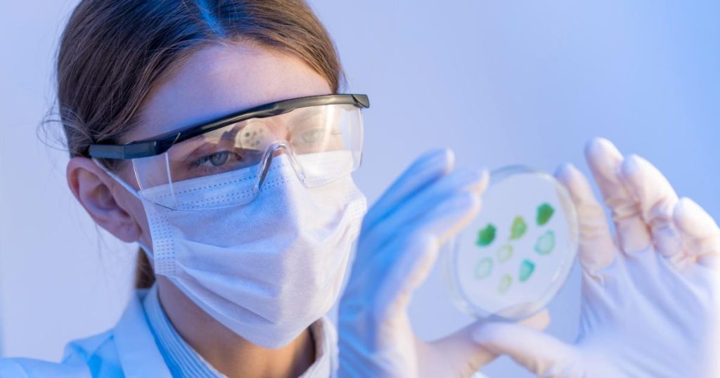 Invima announces measures to protect packaging and food