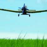 Una avioneta sobrevuela campos de arroz en La Sierpe