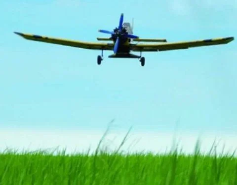 Una avioneta sobrevuela campos de arroz en La Sierpe
