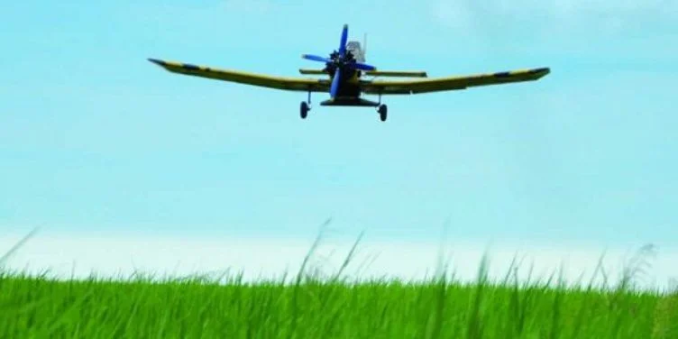 Una avioneta sobrevuela campos de arroz en La Sierpe