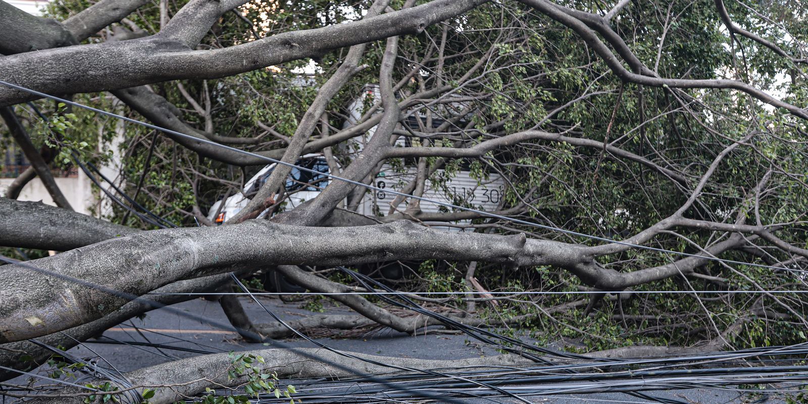 It rains again in São Paulo and the number of people without electricity increases