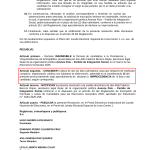 JEE declares Avanza País presidential formula inadmissible: party has 2 days to correct errors