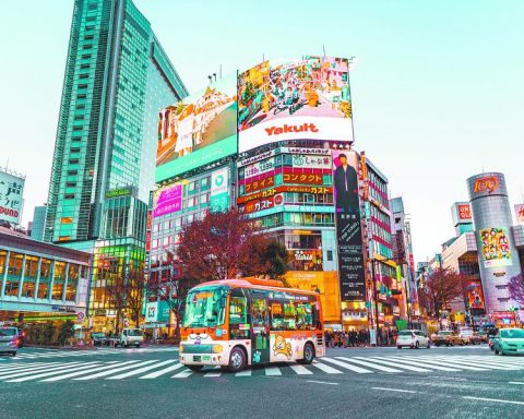 Japan expects growth to accelerate next year