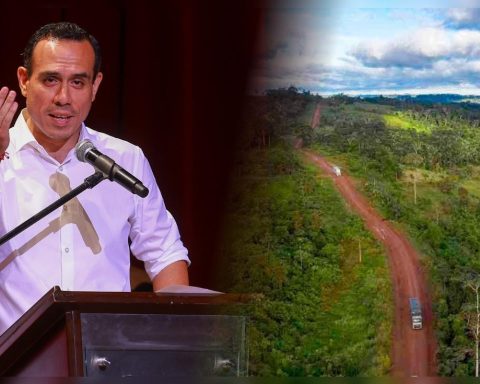 José Jerí promulgates Fujimori law that enables a highway in the coca-growing area despite alerts about drug trafficking