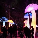Lighting in the Botanical Garden of Bogotá 2025: Dates, times and prices