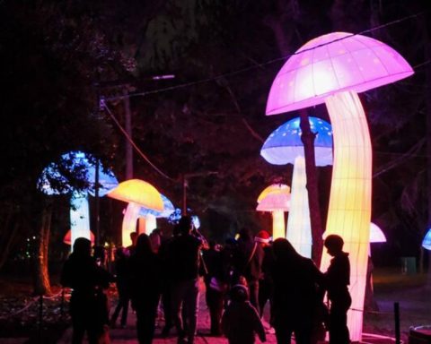 Lighting in the Botanical Garden of Bogotá 2025: Dates, times and prices