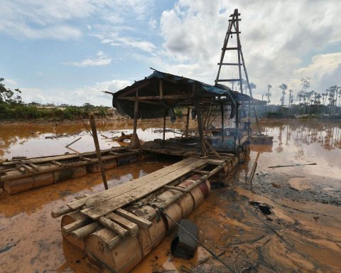 Lucía Nuñovero: “President Jeri comes from an ambivalent political class, which flirts with large criminal interests and favors them”