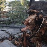 MIDR recognizes emergency situation in 21 municipalities