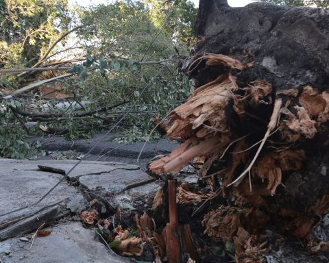 MIDR recognizes emergency situation in 21 municipalities