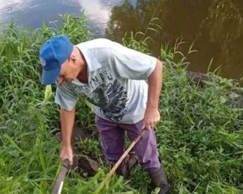 Entre las lluvias y la basura acumulada por meses, las ciudades cubanas se han convertido en un ambiente ideal para la proliferación del mosquito 'Aedes aegypti', transmisor del dengue y el chikunguña