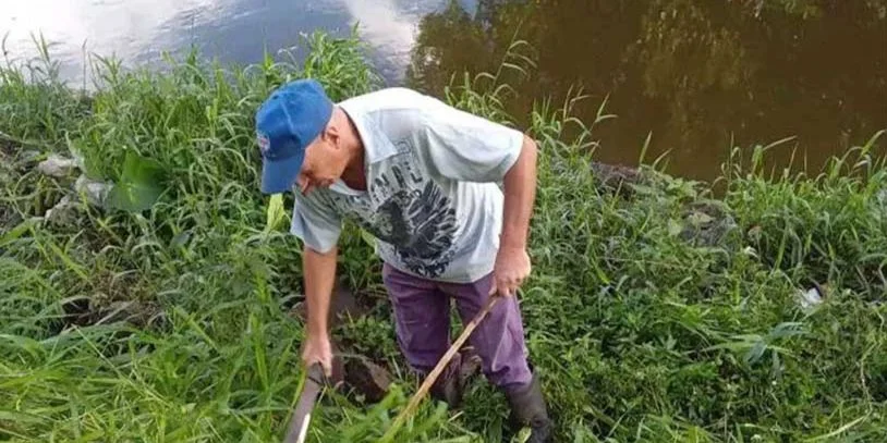 Entre las lluvias y la basura acumulada por meses, las ciudades cubanas se han convertido en un ambiente ideal para la proliferación del mosquito 'Aedes aegypti', transmisor del dengue y el chikunguña