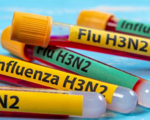 Ministry of Health confirms the first case of influenza subclade K in Mexico