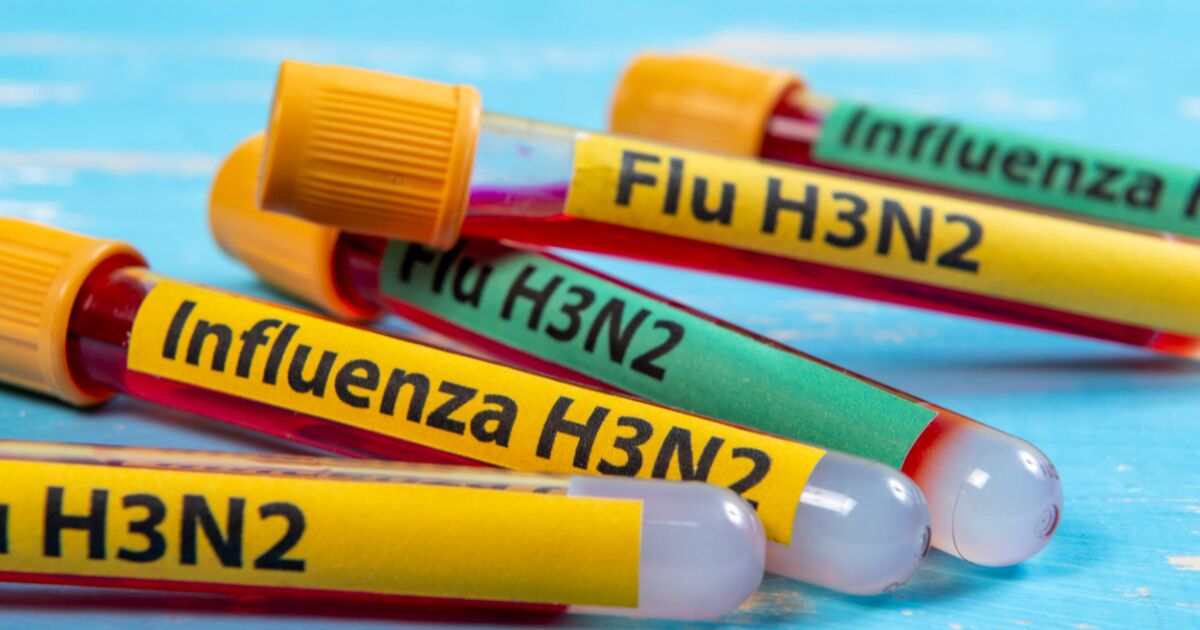 Ministry of Health confirms the first case of influenza subclade K in Mexico