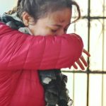 Minsa clarifies the situation of influenza A H3N2 and issues recommendations