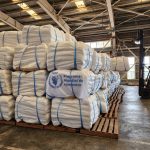 More than 24 thousand tons of Korean rice for Cuba