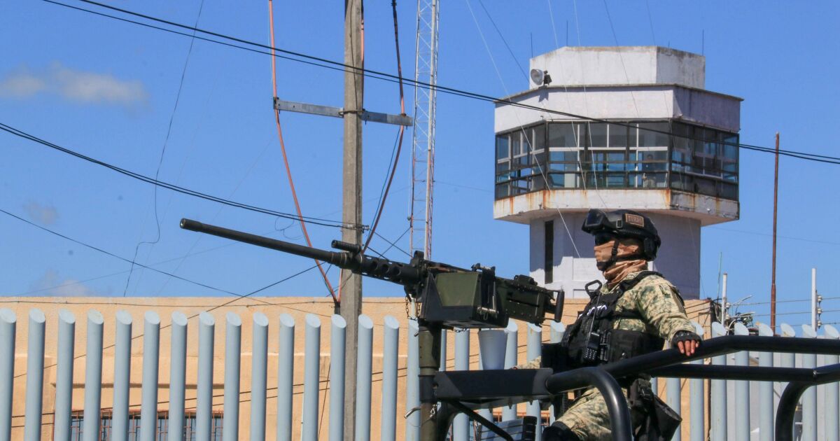 More than 600 detainees and multiple operations, the government's blows to extortion