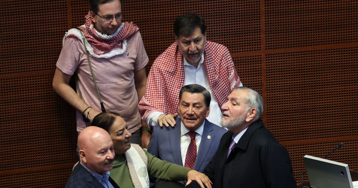 Morena senators spend millions of pesos on AMLO's books