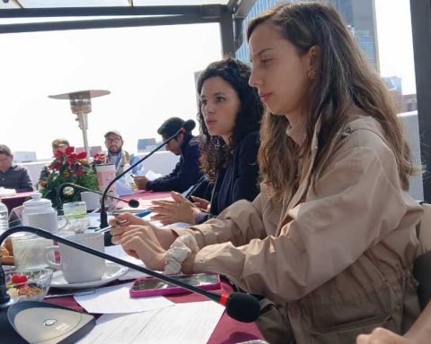 Morena will present an unconstitutionality action against “Wife Law”