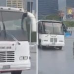 NGO demands proof of life and to know the whereabouts of the political prisoners who were transferred