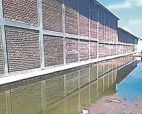 Neighbors demand to solve the collapse of drains in Piura