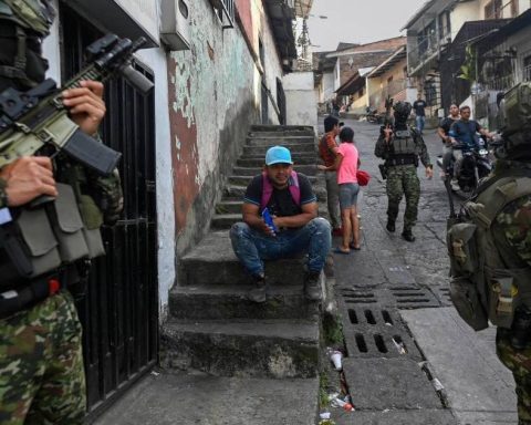 New Army platoon prepares for relief in the Sinai Peninsula: this is its mission in Egypt