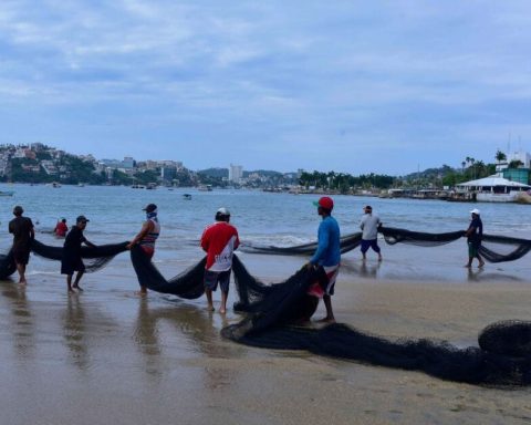 Oceana asks to bet on coastal fishing as the axis of marine conservation